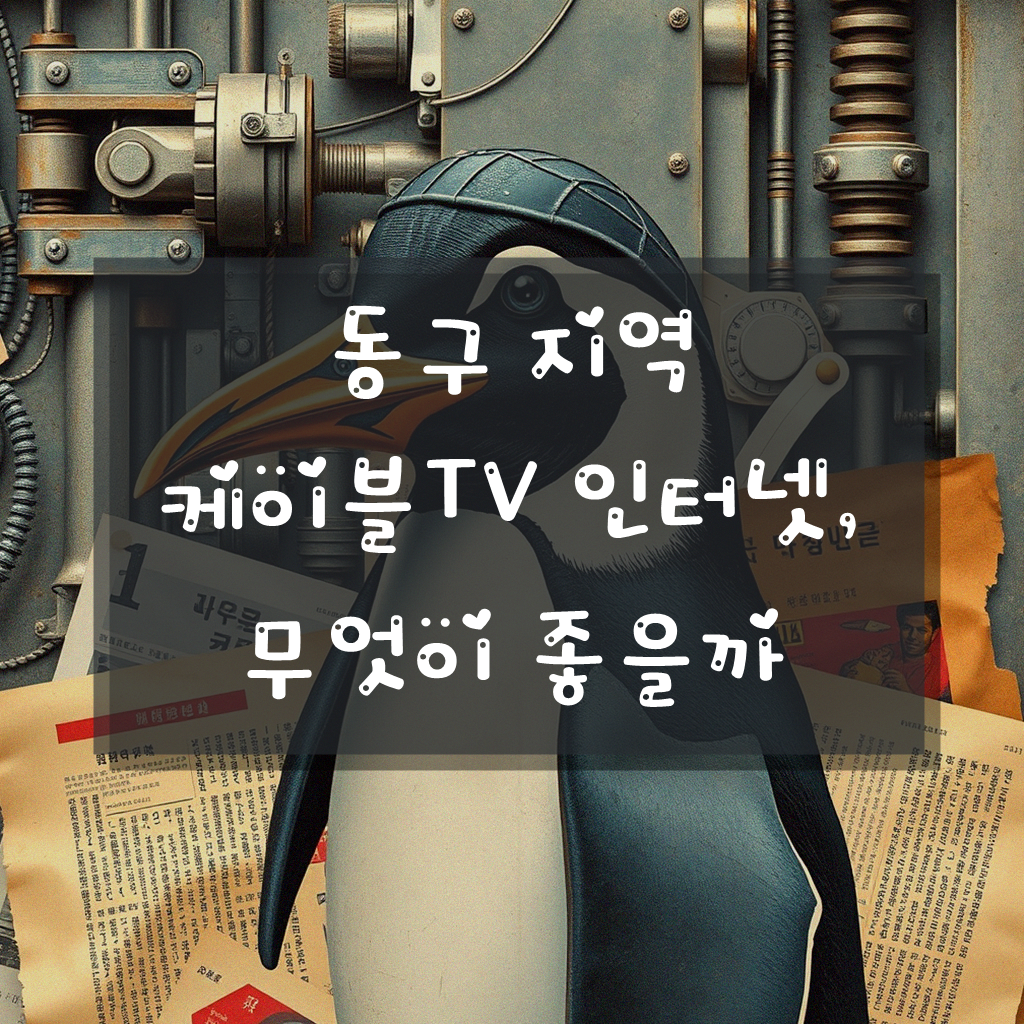 대구 동구 케이블TV 인터넷, 뭘로 해야 할까?