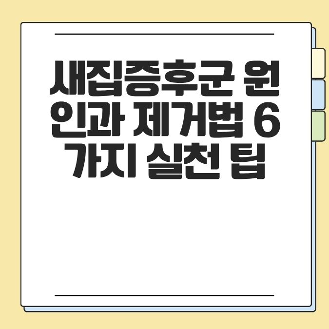 새집증후군 원인과 제거법 6가지 실천 팁