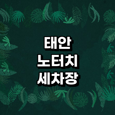 태안군 노터치 세차