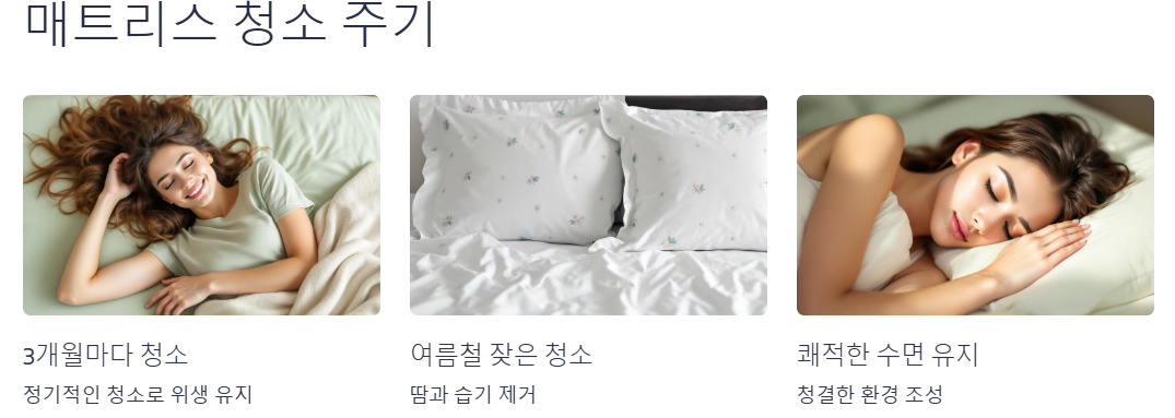 매트리스 청소 주기