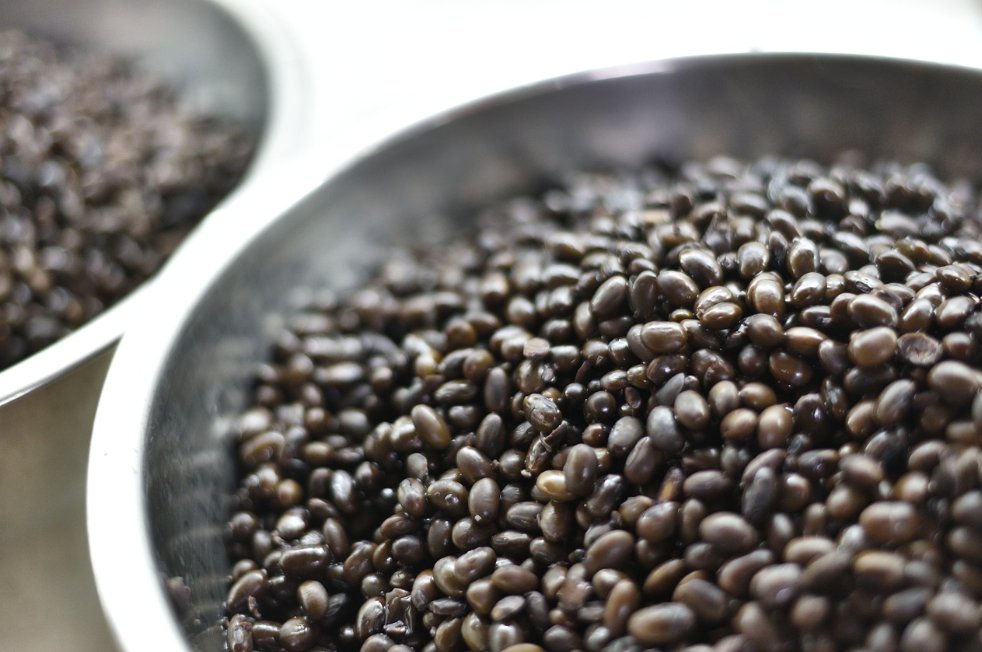 탈모 예방에 좋은 음식, 식습관만 바꿔도 탈모예방!