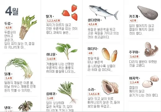 4월 제철음식 제철 생선 과일 채소 모음_1
