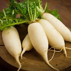 마른기침이 나는 이유 잔기침 마른기침이 오래갈때 멈추는 방법&amp;#44; 좋은음식