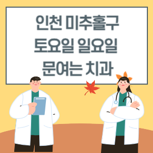 인천 미추홀구 토요일 일요일 치과 진료 병원 리스트