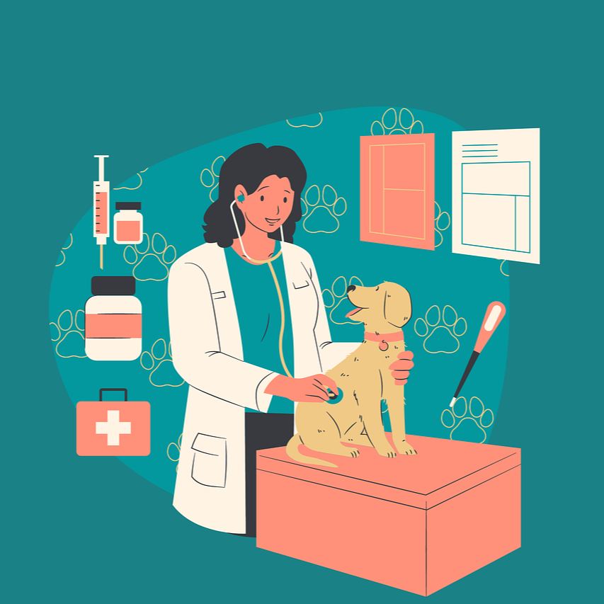 서울 특별시 중구 강아지 고양이 노견 반려견 반려묘 동물병원 현황 위치 가격 정보 충무로4가, 만리동2가, 을지로5가, 필동2가, 묵정동, 소공동, 회현동, 명동, 필동, 장충동, 광희동, 을지로동, 다산동, 약수동, 청구동, 신당5동, 동화동, 중림동