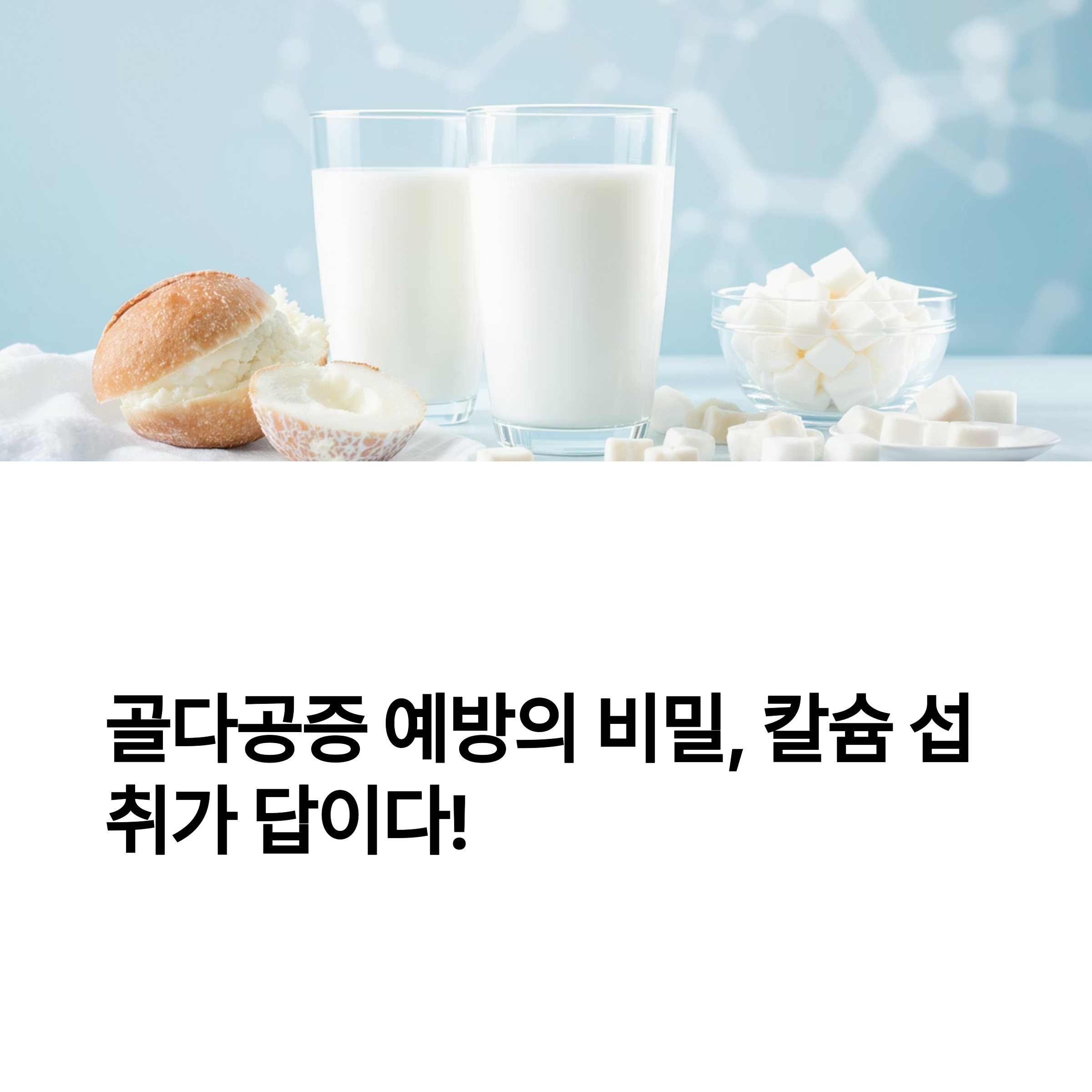 골다공증 예방에 꼭 필요한 칼슘 음식