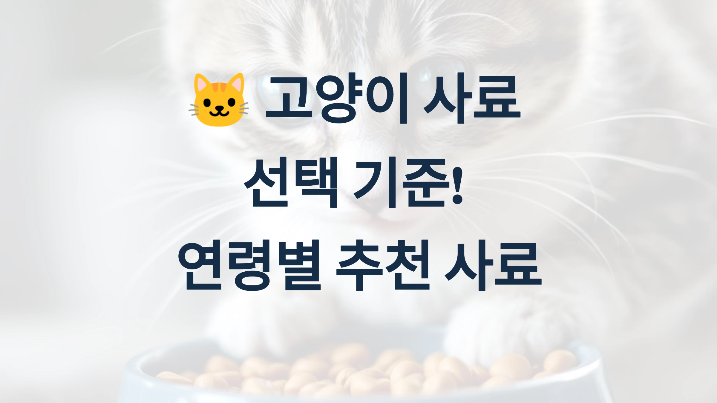 🐱 고양이 사료 선택 기준! 연령별 추천 사료