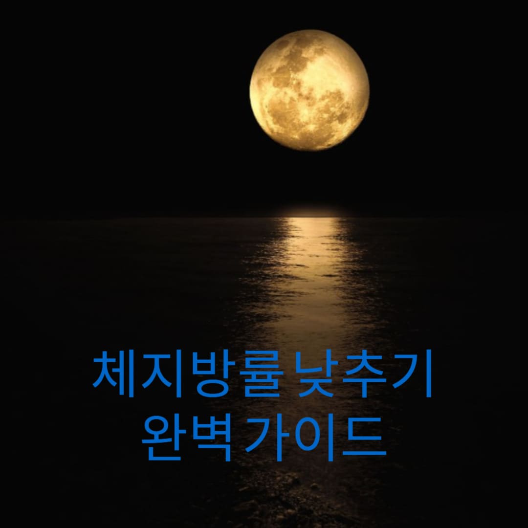 체지방률-낮추기-완벽-가이드-썸네일