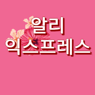 알리익스프레스