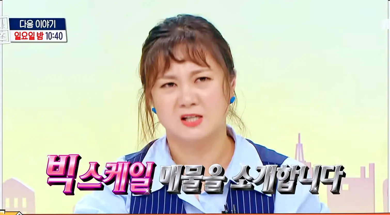 구해줘홈즈 김포 인천 매매 전세 4-5억 원대 바다로가라 그린 키친스 클럽 송도 바다뷰를 남기고 천창 여기있테이 청라 만세삼창 매물 소개