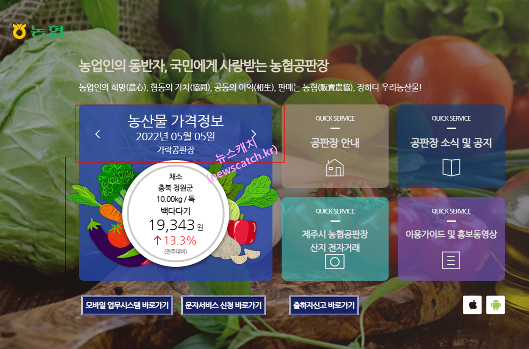 농협공판장 가격정보 조회