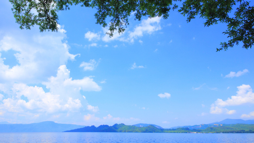 계절의 변화를 세분화한 24 절기 중 '하지' 이해하기
