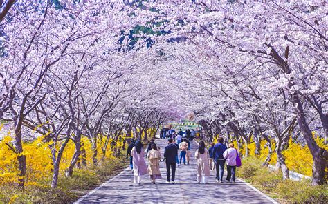 화담숲 어린이&middot;어르신 추천 코스 및 주차 꿀팁 총정리