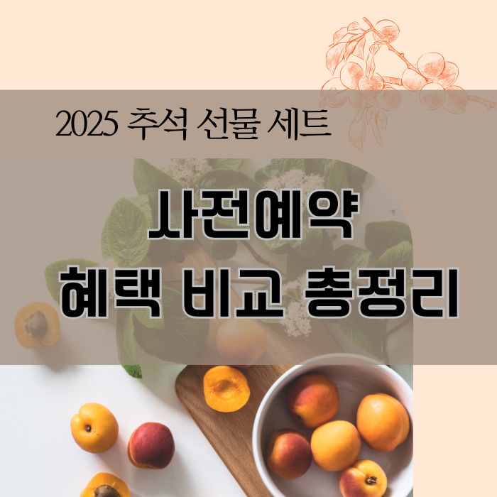 2025 추석 선물세트 사전예약 혜택 비교