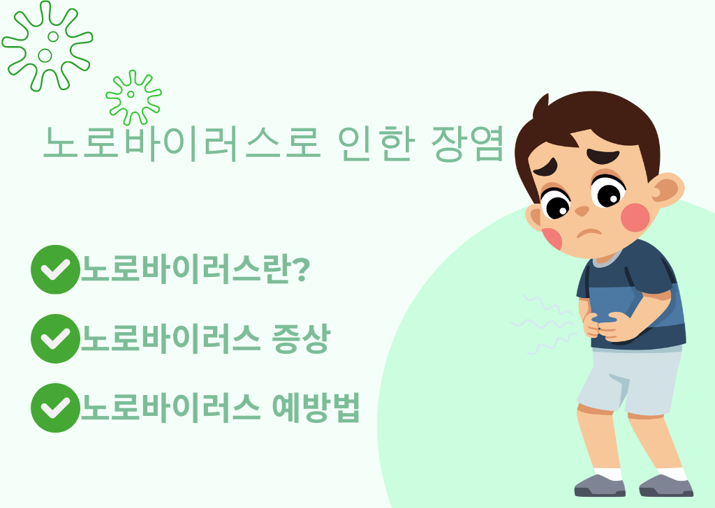 노로바이러스로 인한 장염