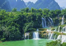 ESFP 유형 특징 분석