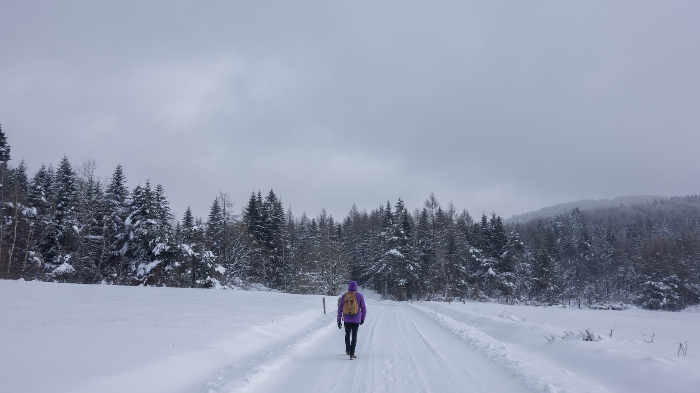 a Round the World Trip 6