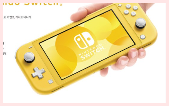 닌텐도 스위치 라이트