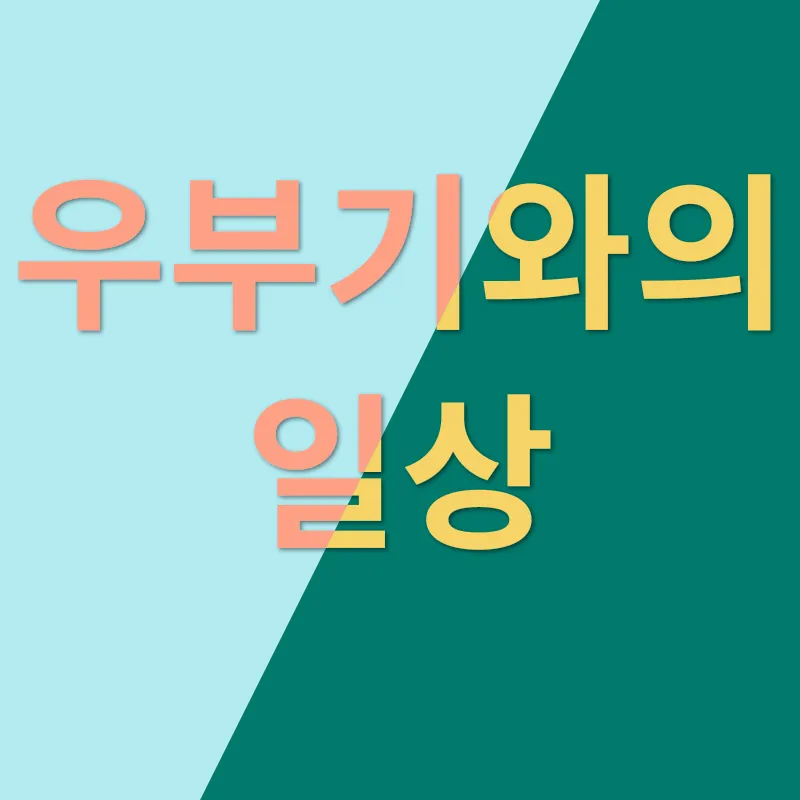 파충류 분양_3