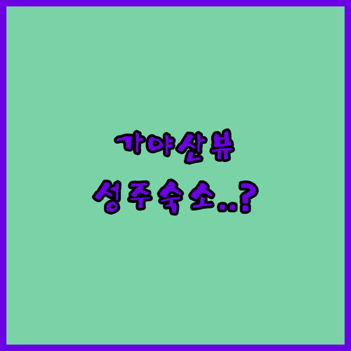 가야산 뷰 호텔부터 안마의자 무인텔까..