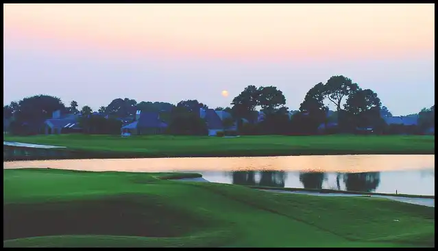 파크골프채 가격 추천 (혼마, 피닉스, 미즈노)