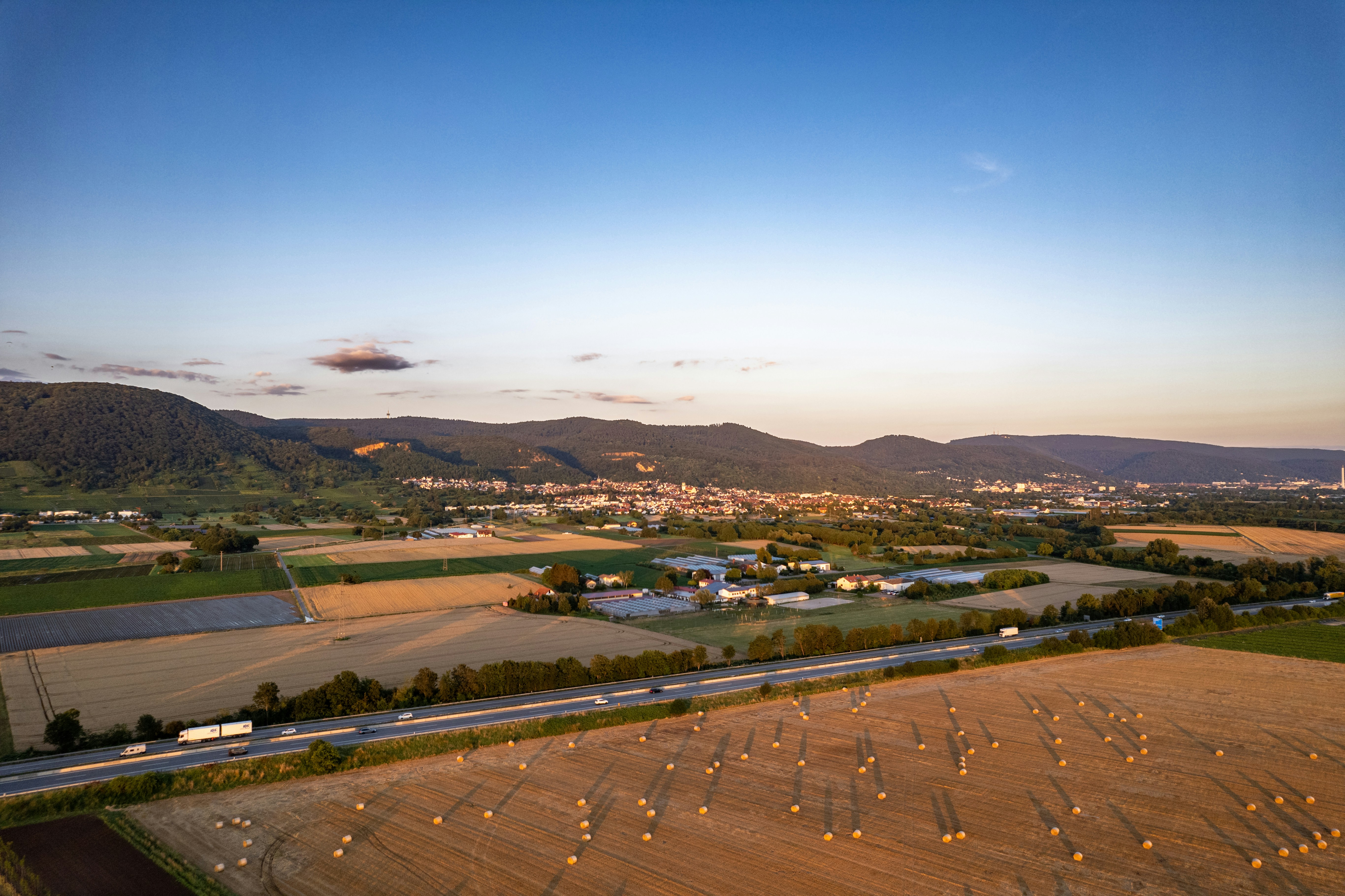 들깨 수경 재배 및 수확 시기 (+ 중부 남부 지방 수확 기계 추천)