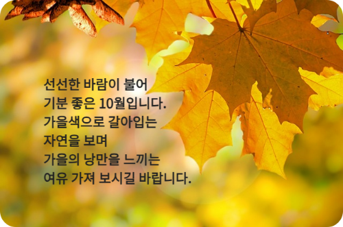 가을-나뭇잎-단풍