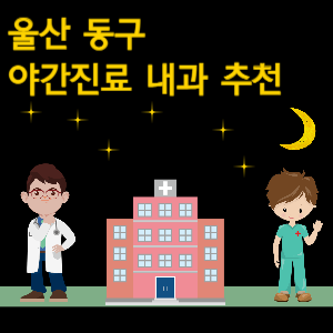 울산 동구 내과 야간진료 병원 추천