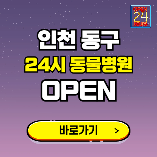 인천 동구 24시 동물병원 진료하는 곳 ❘ 설날 휴일 야간 심야 문여는곳 찾기 ❘ 응급진료