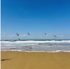 태안 추천 관광지 베스트10 관련 사진