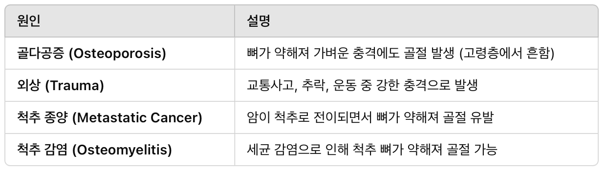 척추 압박 골절의 주요 원인