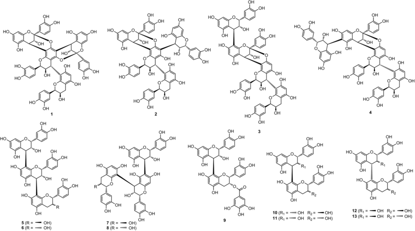 여러종류의 OPC 화학구조들