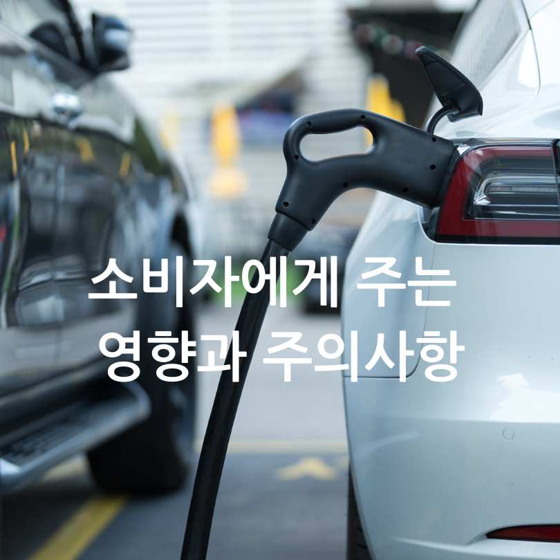 2025년 전기차 보조금