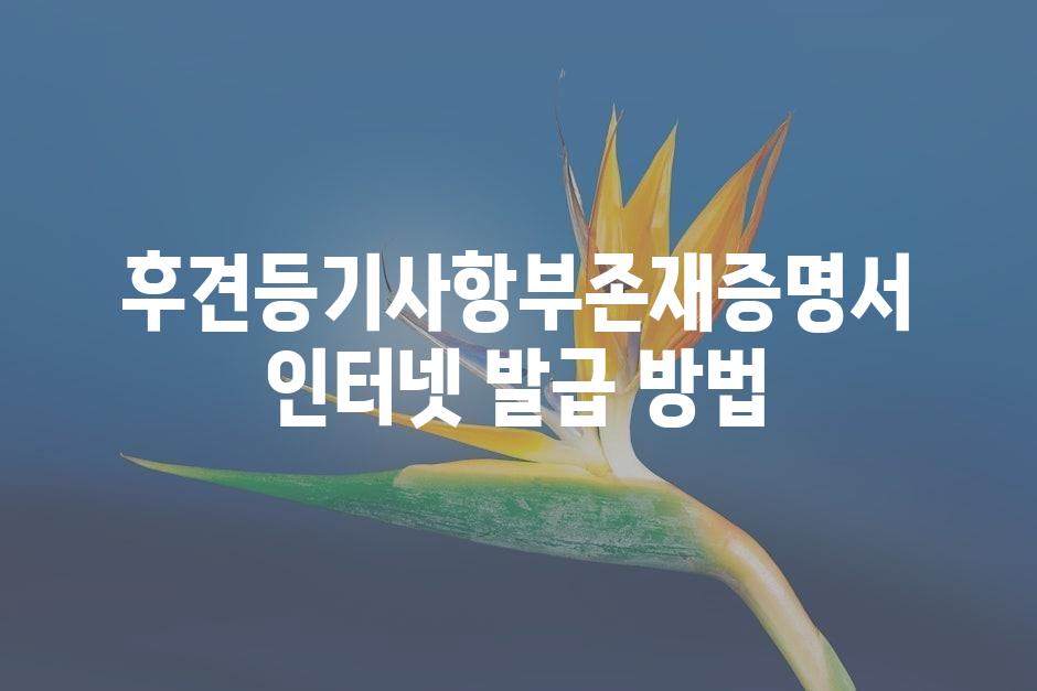 샘플 (45)