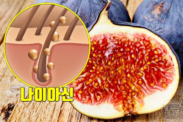 탈모 비타민 나이아신 음식 탈모에좋은비타민