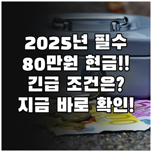 2025 조건불리지역 직접지불제 연 ..