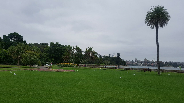 시드니 왕립식물원의 전경