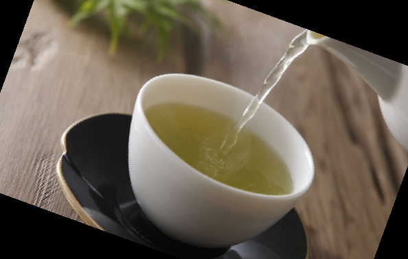 콤부차 효능 부작용 이디아 콤부차