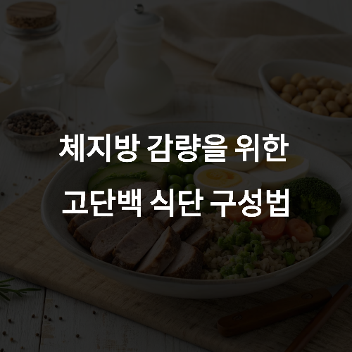 체지방 감량을 위한 고단백 식단