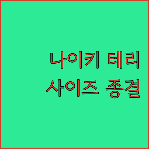 나이키 프렌치 테리 후드티 맨투맨 종..