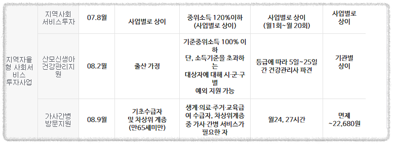 지역자율형 사회서비스투자사업