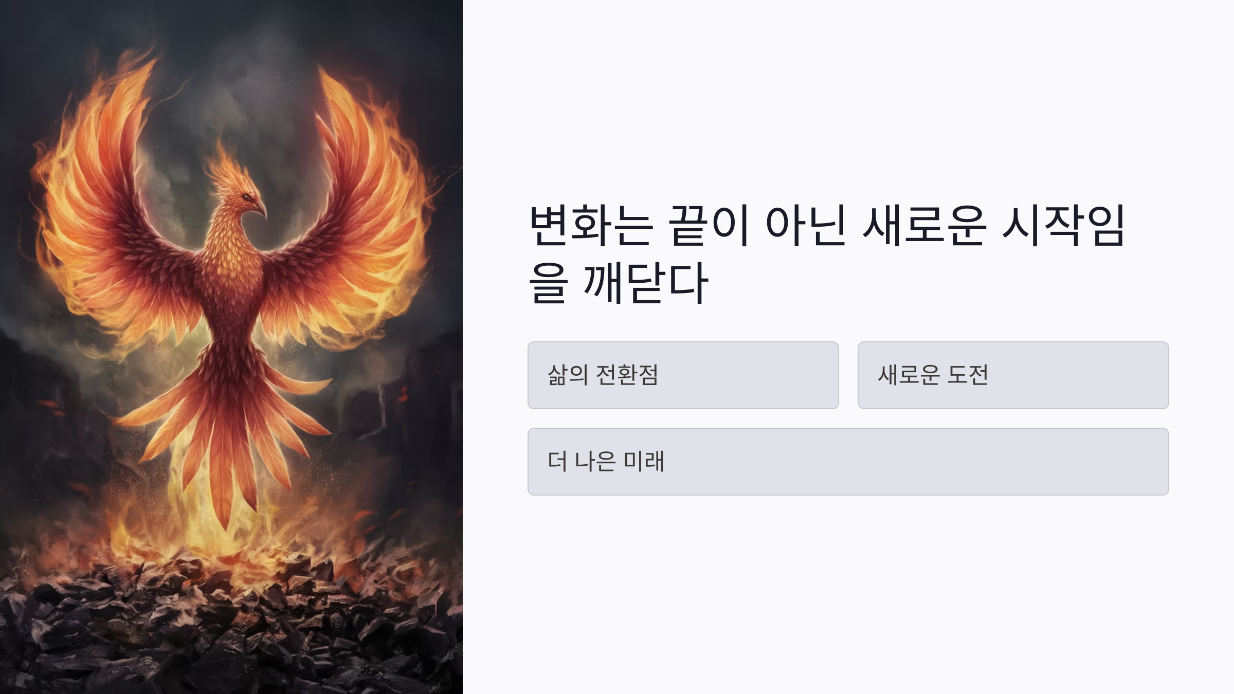 새로운 시작