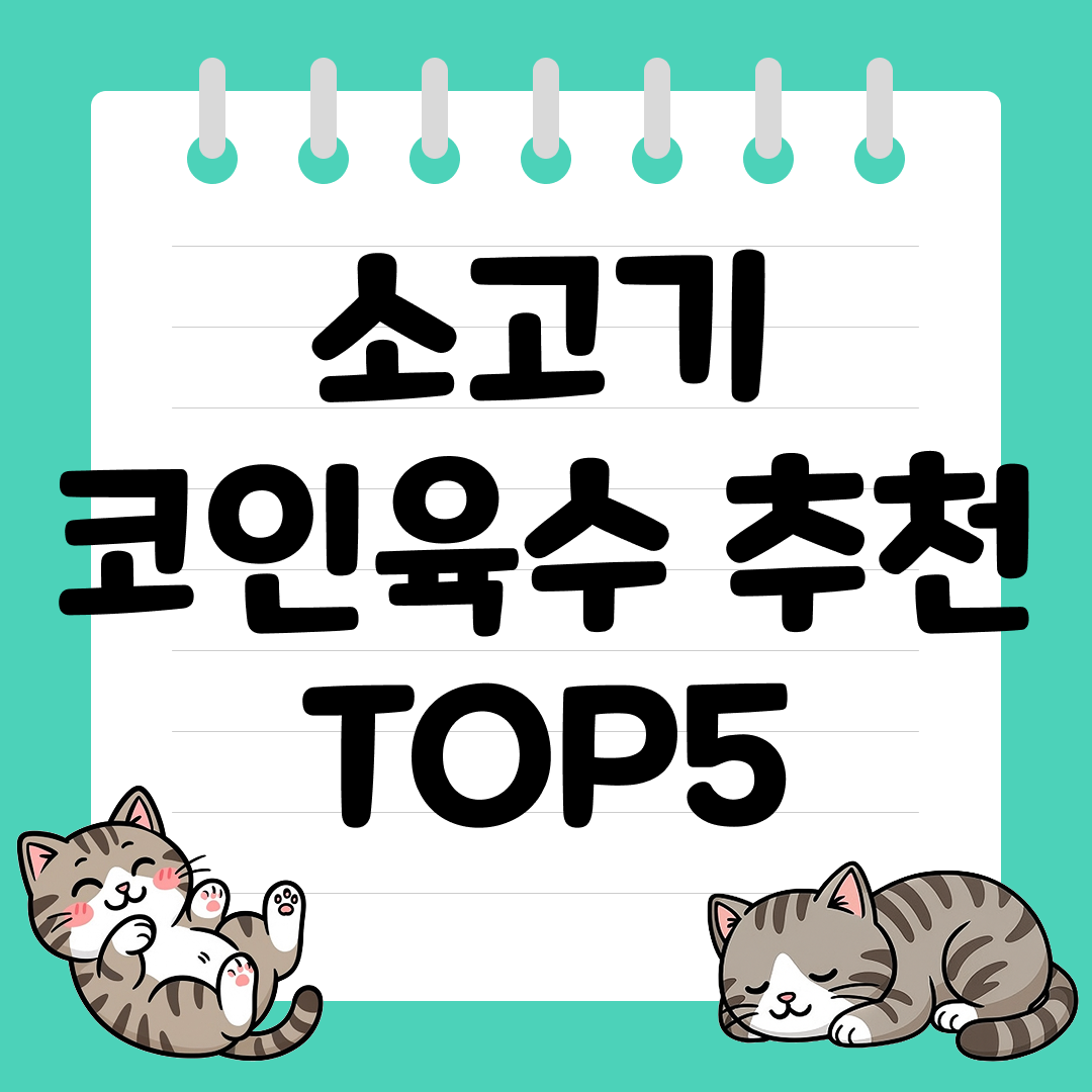 깊은 국물 맛을 가진 소고기코인육수 추천 순위 TOP5