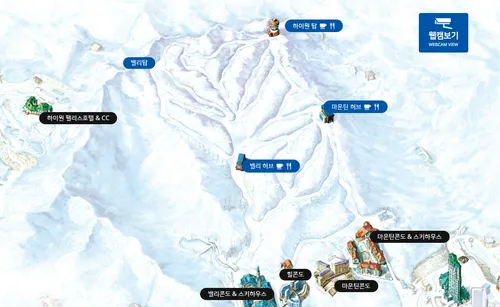 하이원 리조트 스키장 슬로프