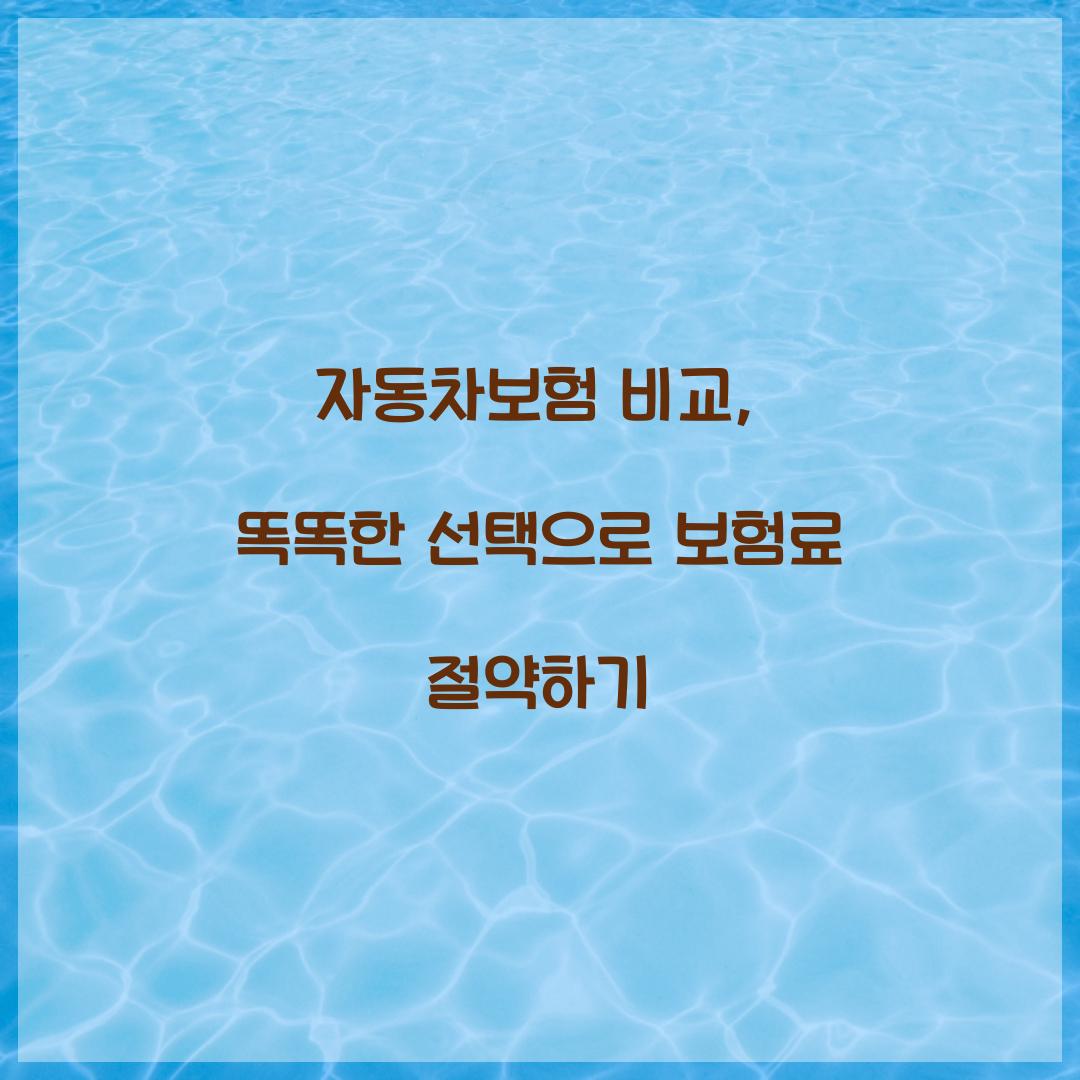 자동차보험 비교