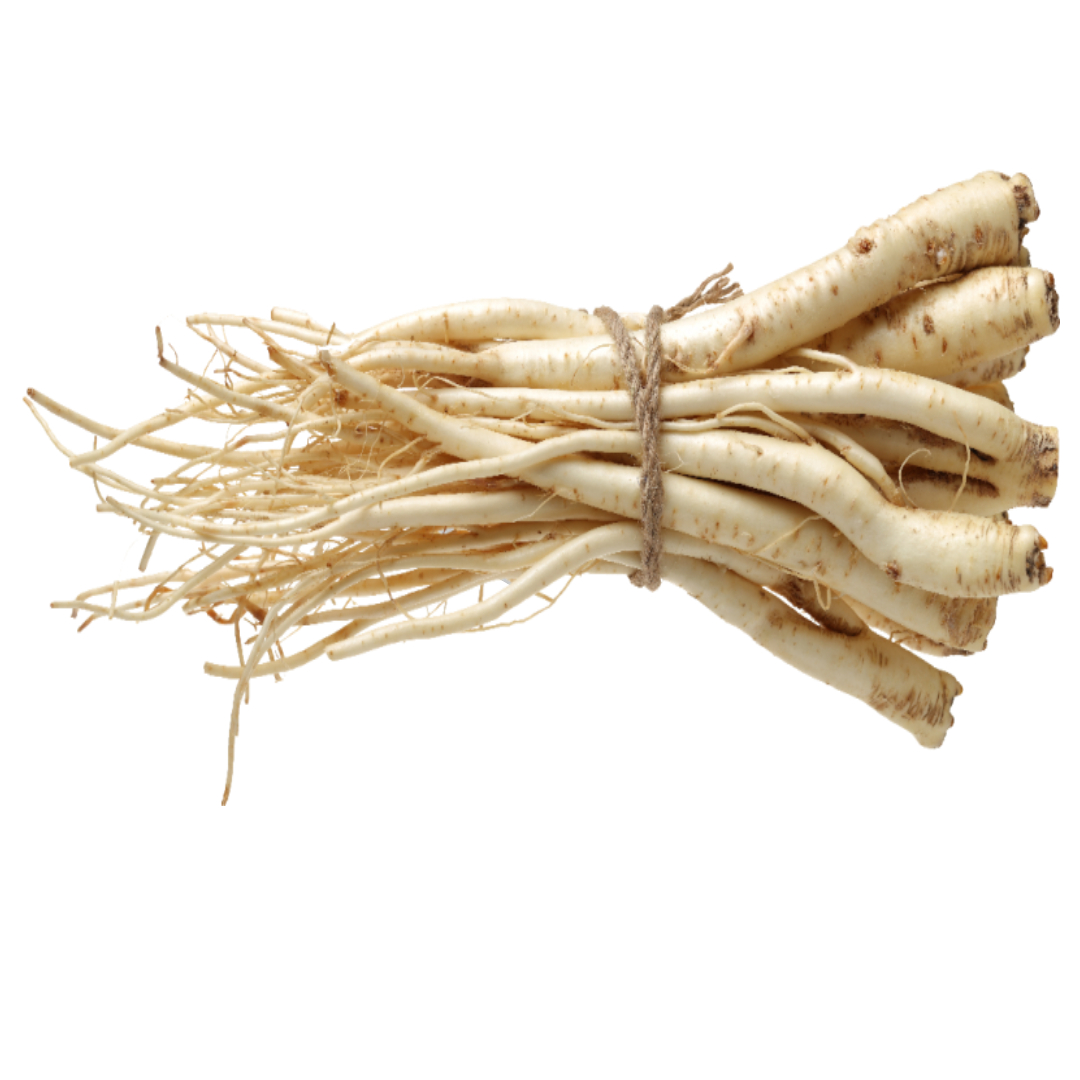 녹용 효능과 관련된 사진입니다.