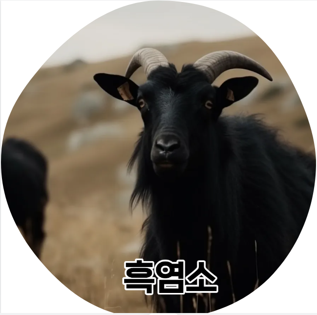 흑염소 효능
