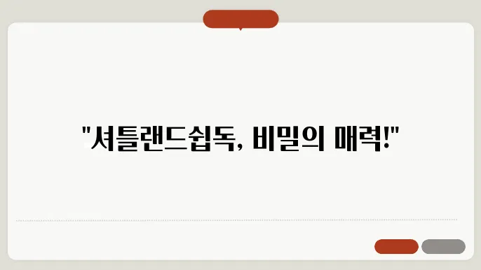 셔틀랜드쉽독