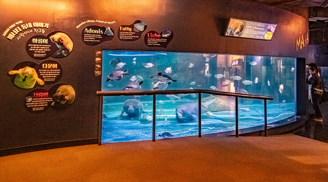 [당일치기] 코엑스 아쿠아리움 놀거리&amp;주차&amp;이벤트&amp;할인혜택