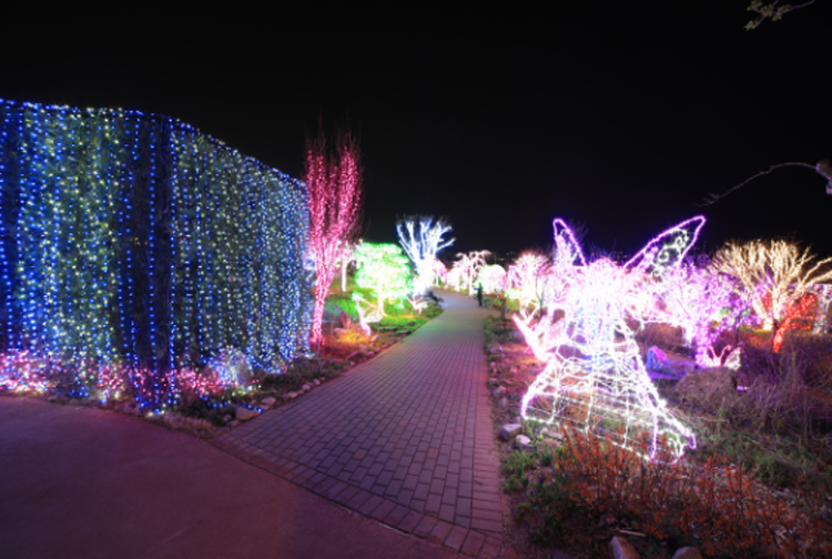 퍼스트가든 별빛축제